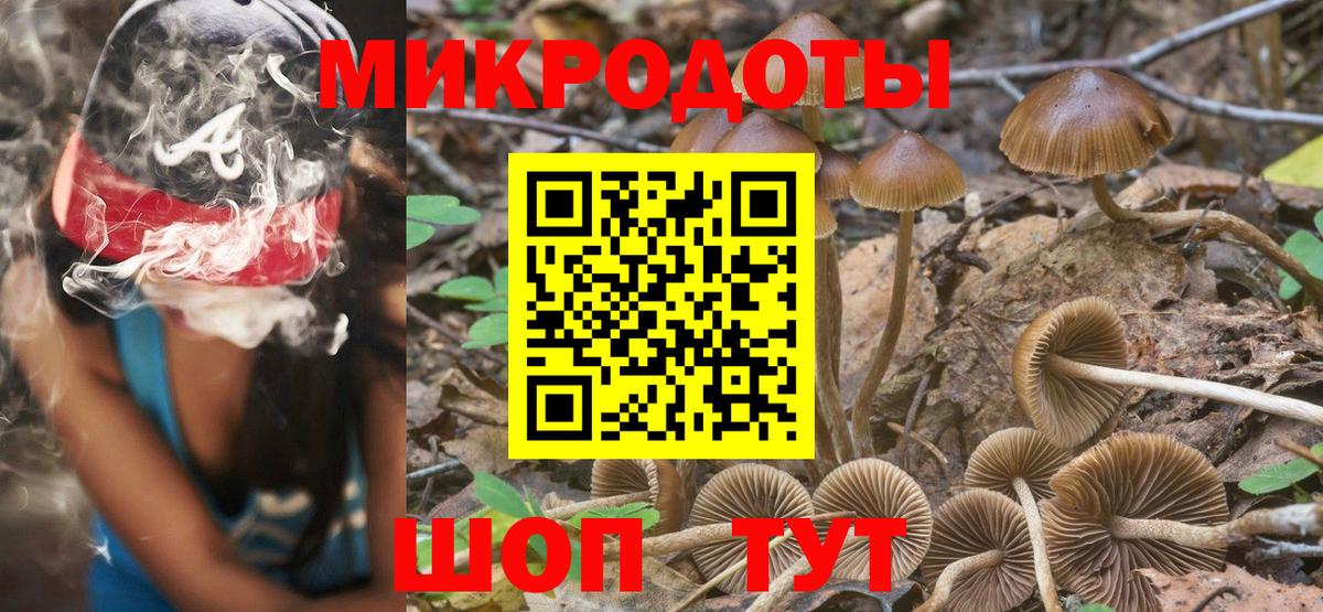 хочу   Вход с VPN  Котовск  Галлюциногенные грибы GOLDEN TEACHER 