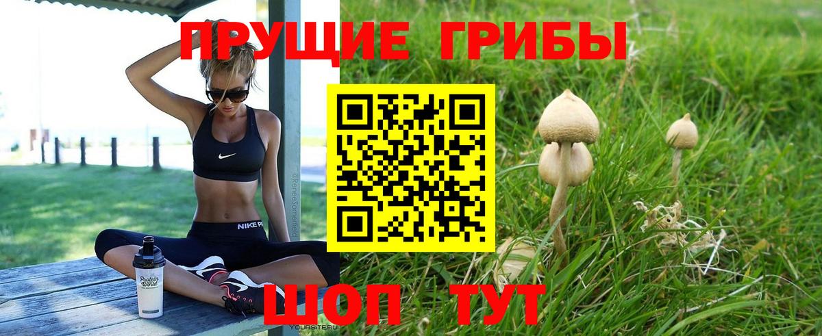 Псилоцибиновые грибы прущие грибы Котовск