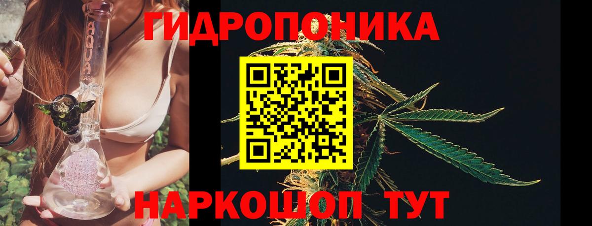 Конопля конопля  МАРИХУАНА MAZAR  Котовск  МАРИХУАНА тримм  Вход с VPN  МАРИХУАНА LSD WEED 